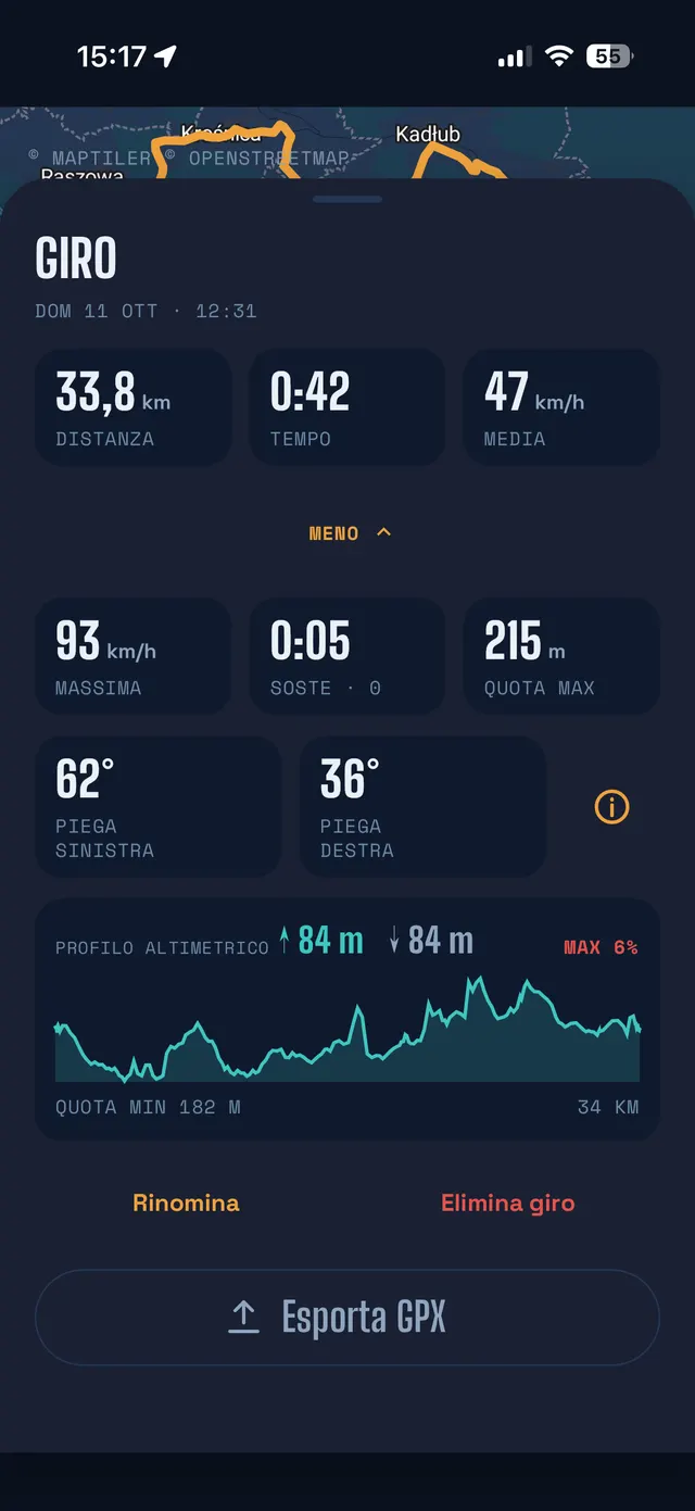 Dettagli del giro: distanza, tempo, velocità media e massima, piega a sinistra e a destra, profilo altimetrico